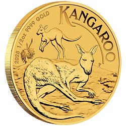 1/2 Unze Gold Australien Känguru 2025